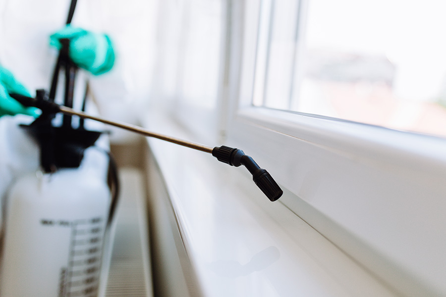 Pest control spraying near window